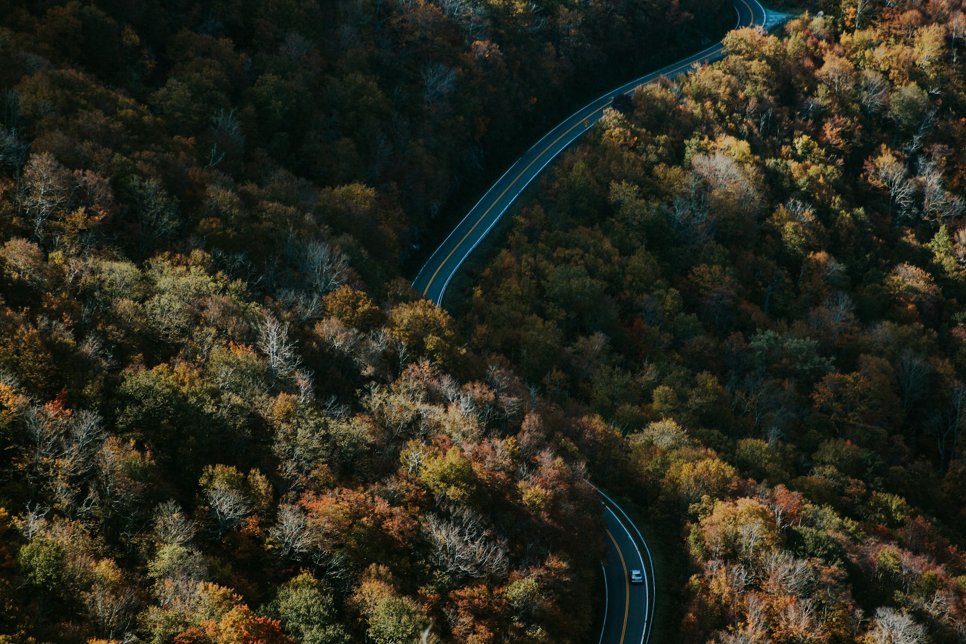 A winding forest road embraced by autumn leaves, with a motorhome gently driving through nature’s vibrant colors.