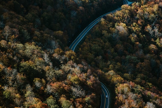 aerial photo of winding road in Roan Mountain Place United States