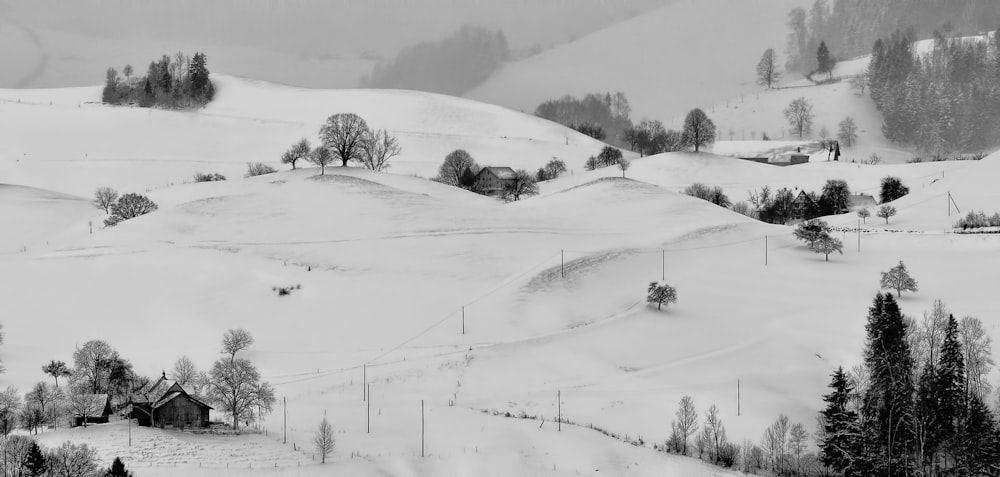 moutains cover with snow