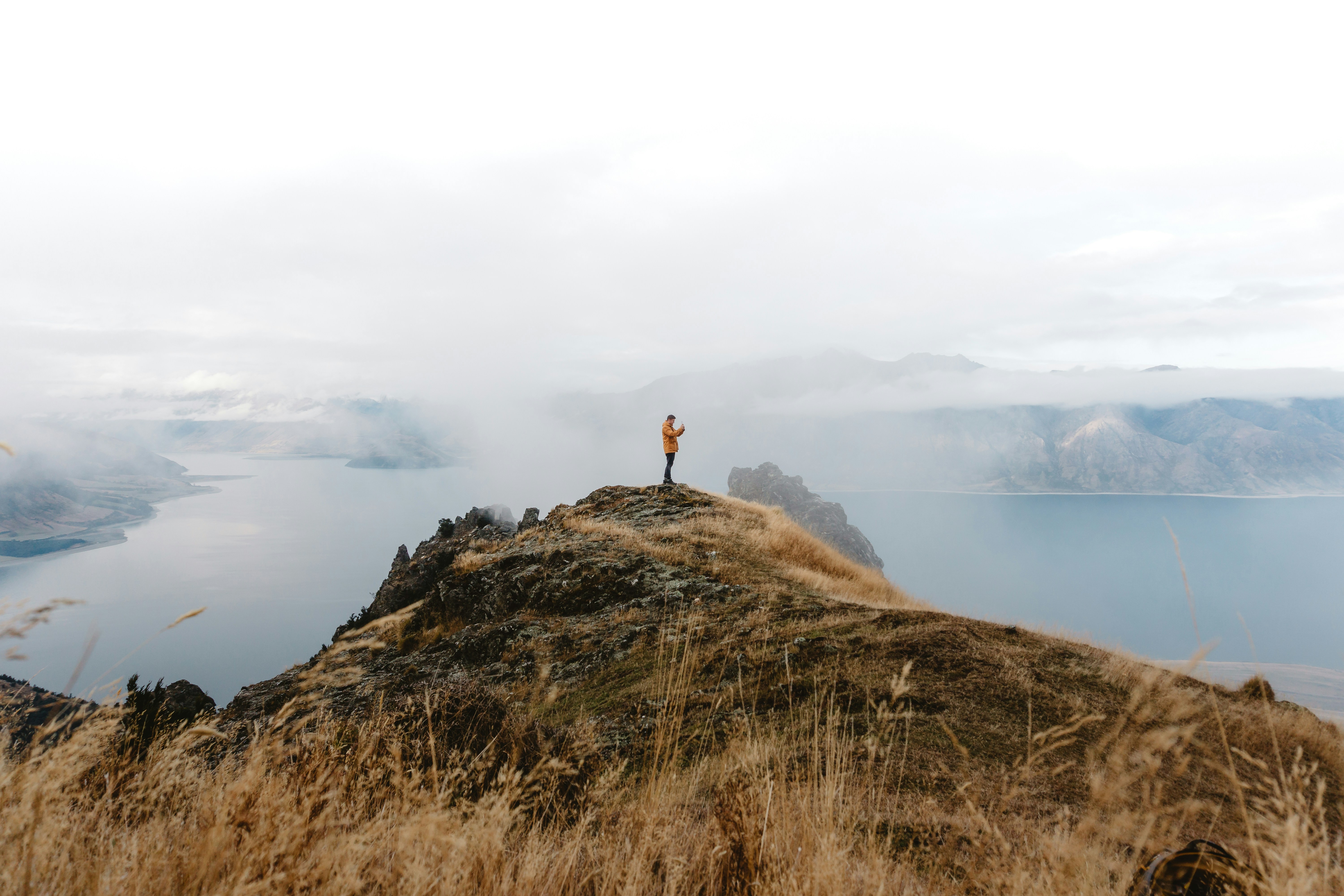 When Did .Co Become the Next Big Thing?