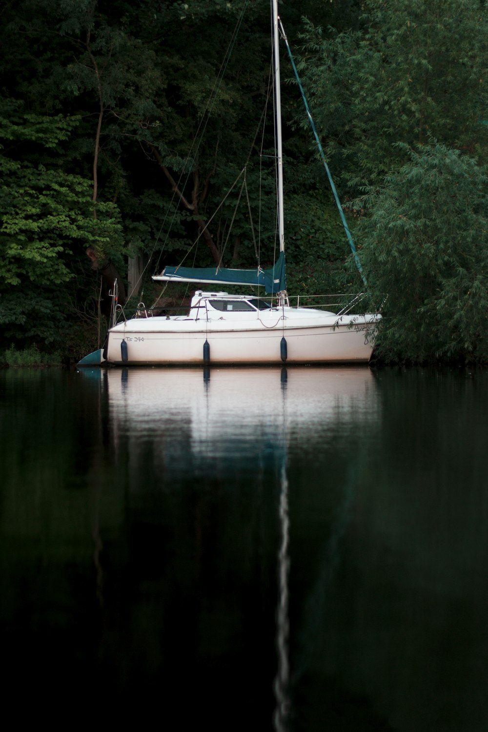 white and green motorboat on body of water