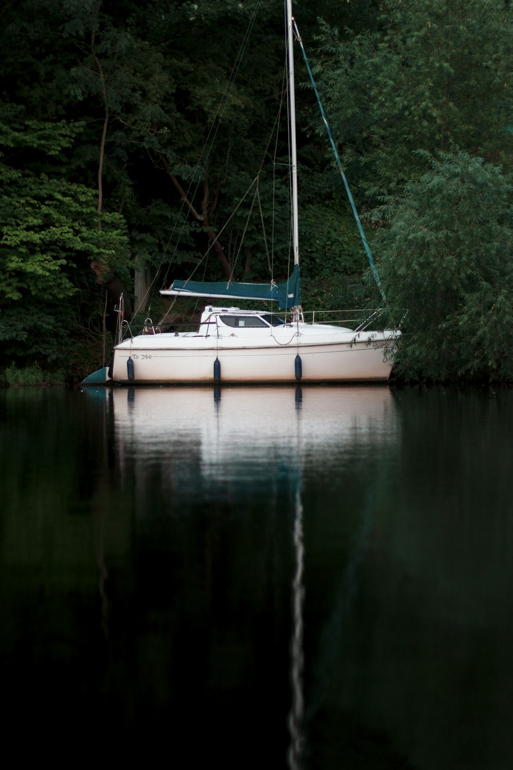 weißes und grünes Motorboot auf Gewässer