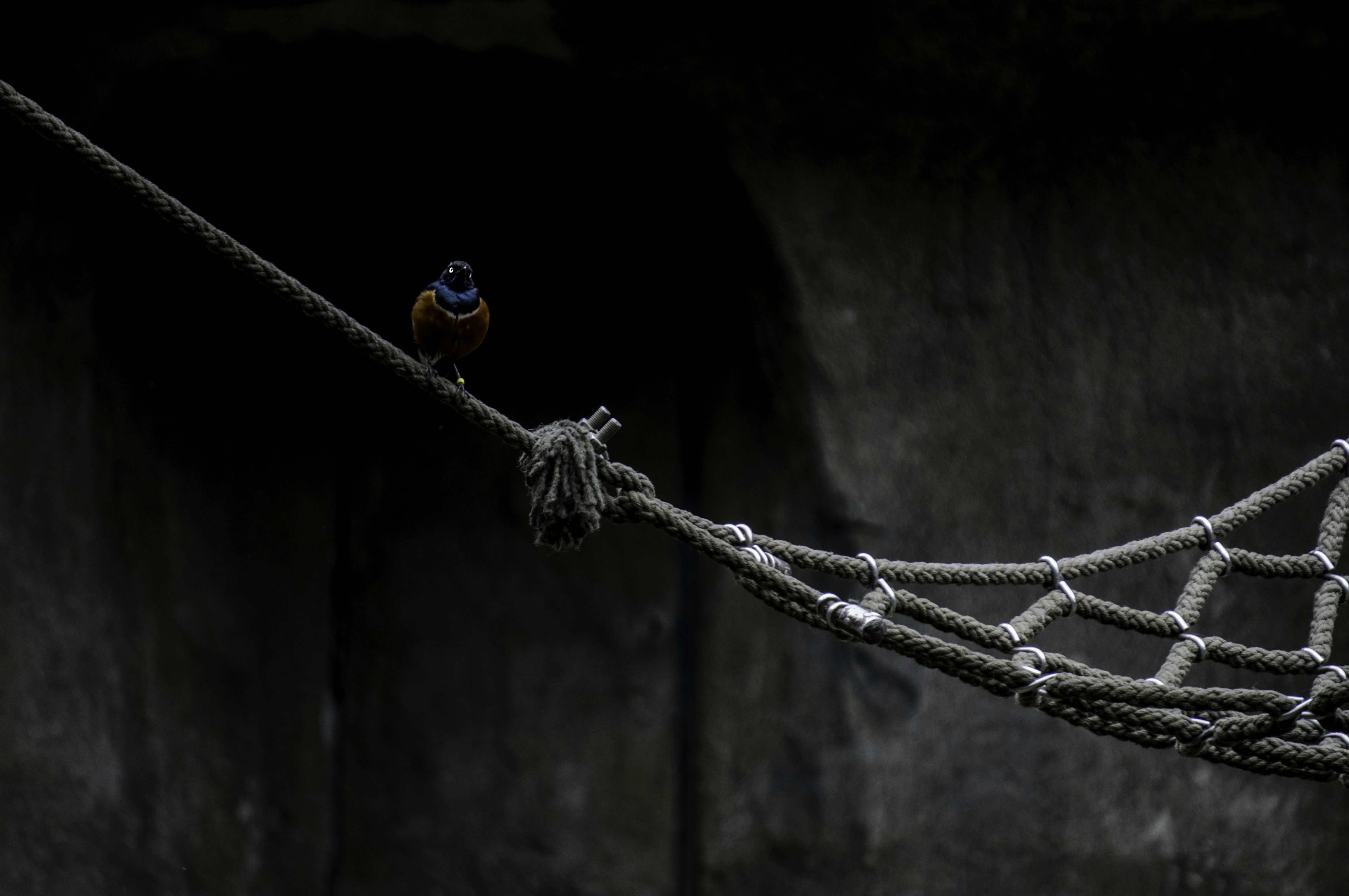 Hyperbolic Functions and Non-Hyperbolic Claims