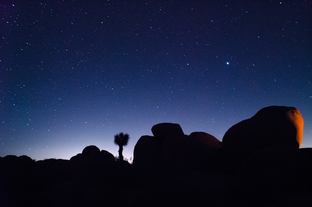 photo de silhouette de montagne et d’arbre pendant la journée