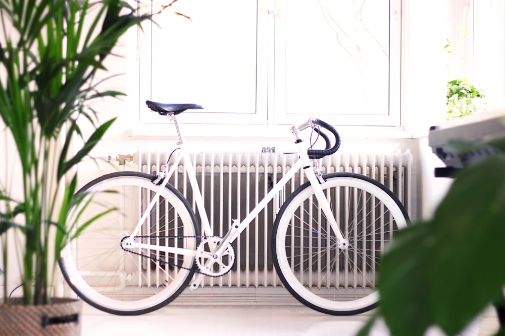 white fixie bike