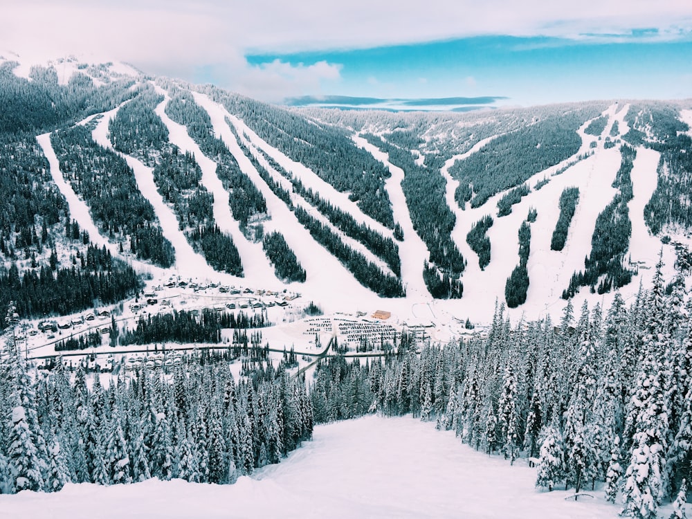 aerial view photography of snow village