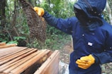 A woman carefully inspecting a beehive in a lush rural setting at Yaélé.