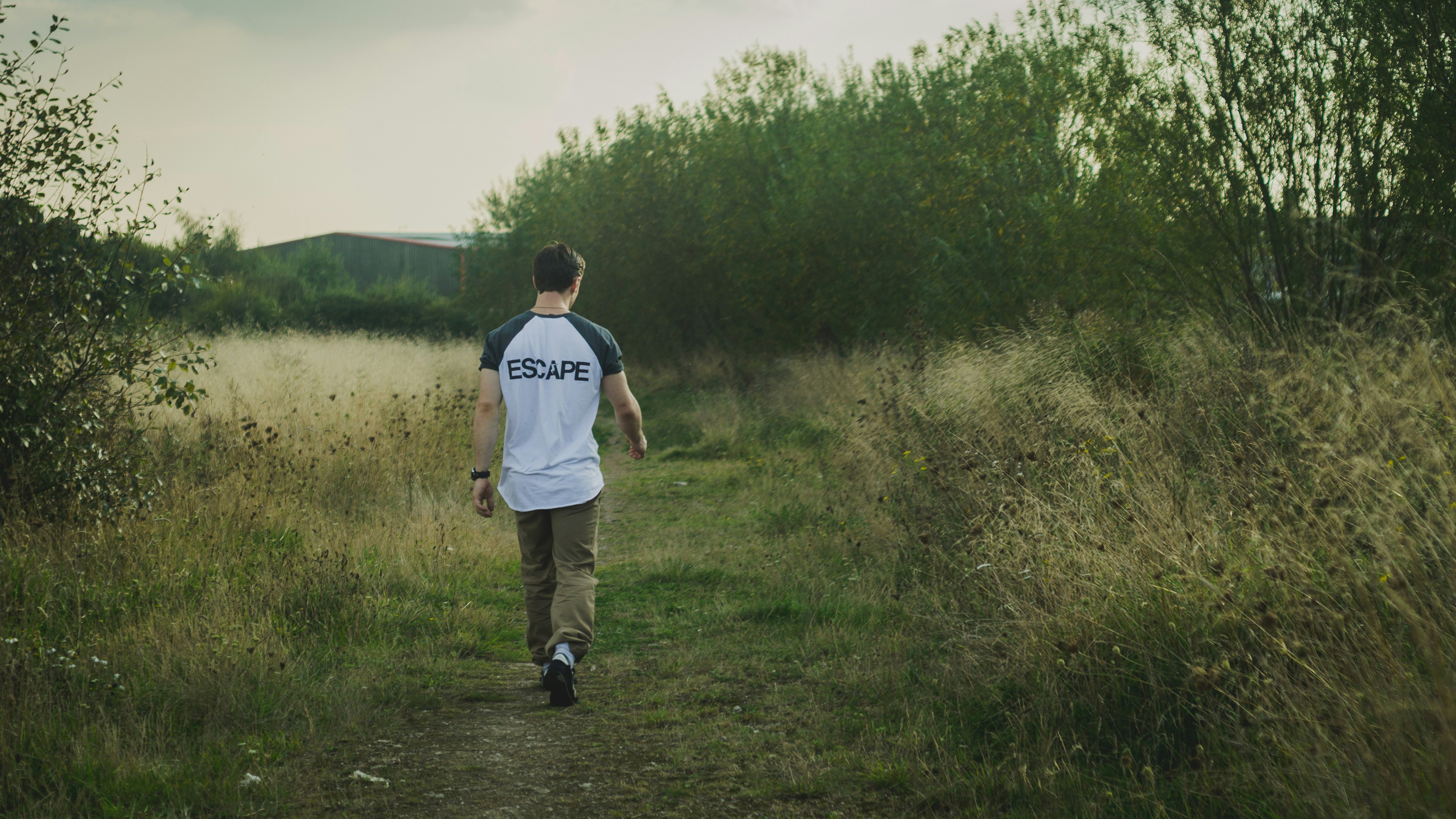 Part IV: Dominion – Chapter 2: The Rebuild