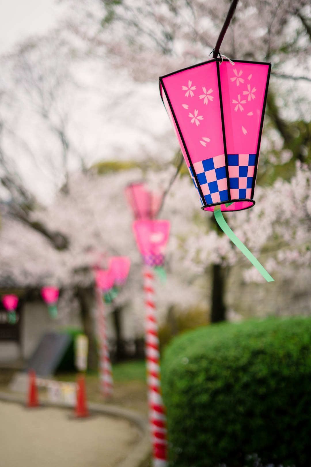 selective focus photo of pink and blue lanterns hanged on string