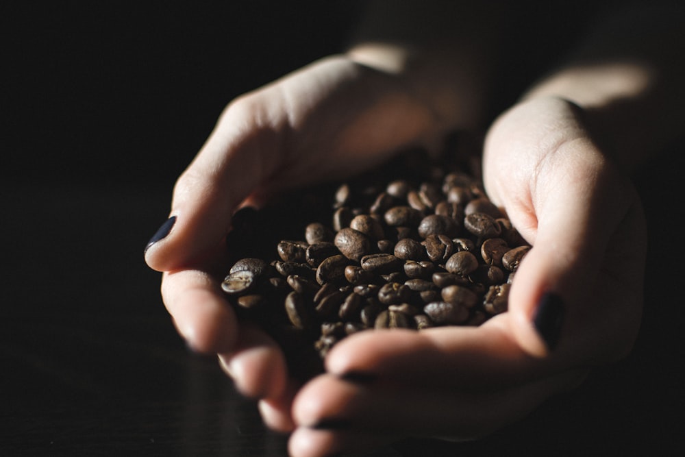 人の手にコーヒー豆の山