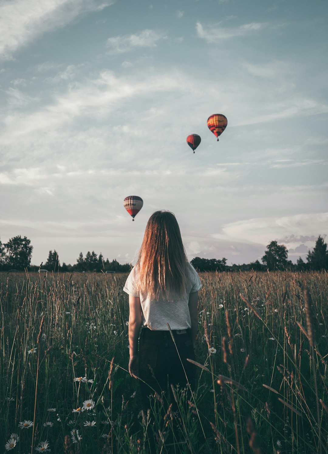 woman watching hot air balloons in flower field