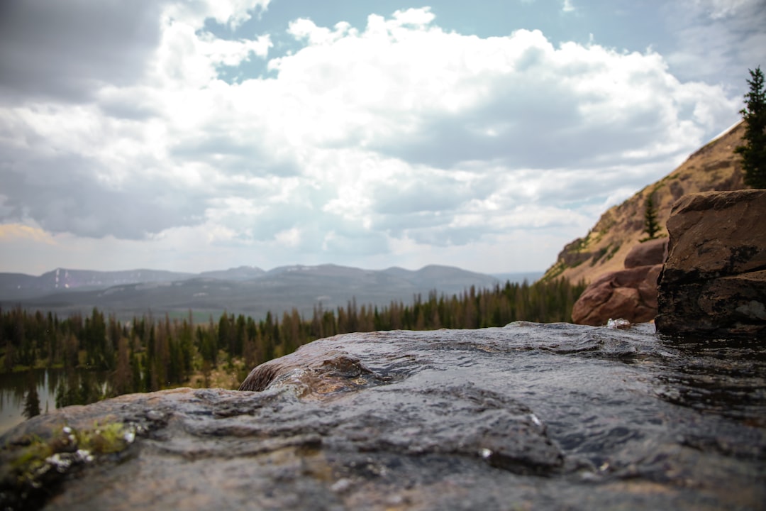 green trees on brown mountain under white clouds during daytime