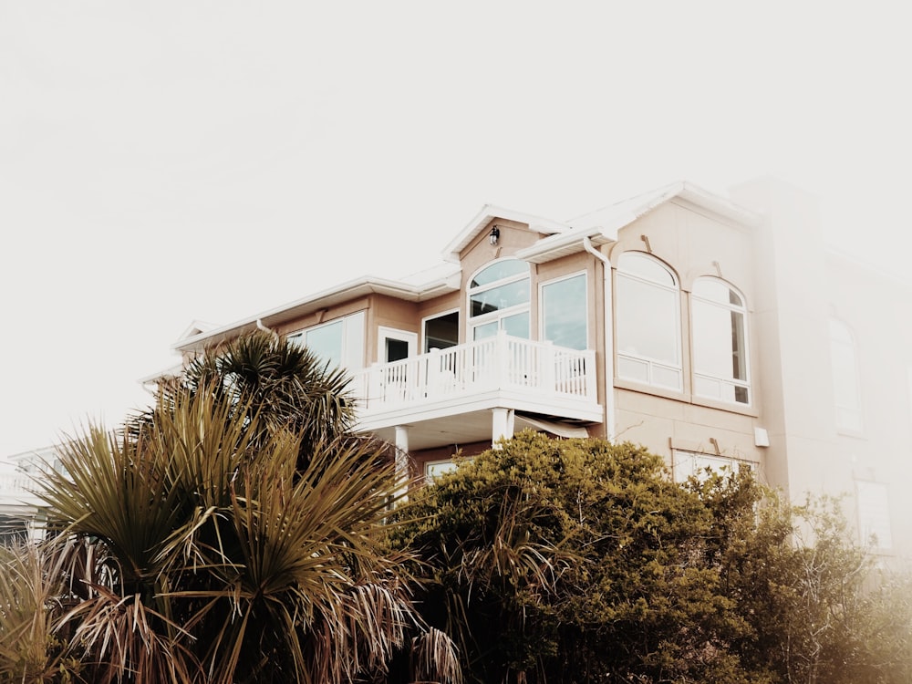 A beach house on Tybee Island surrounded by palm trees on a foggy day