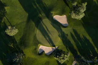 bird's eye photo of grass field