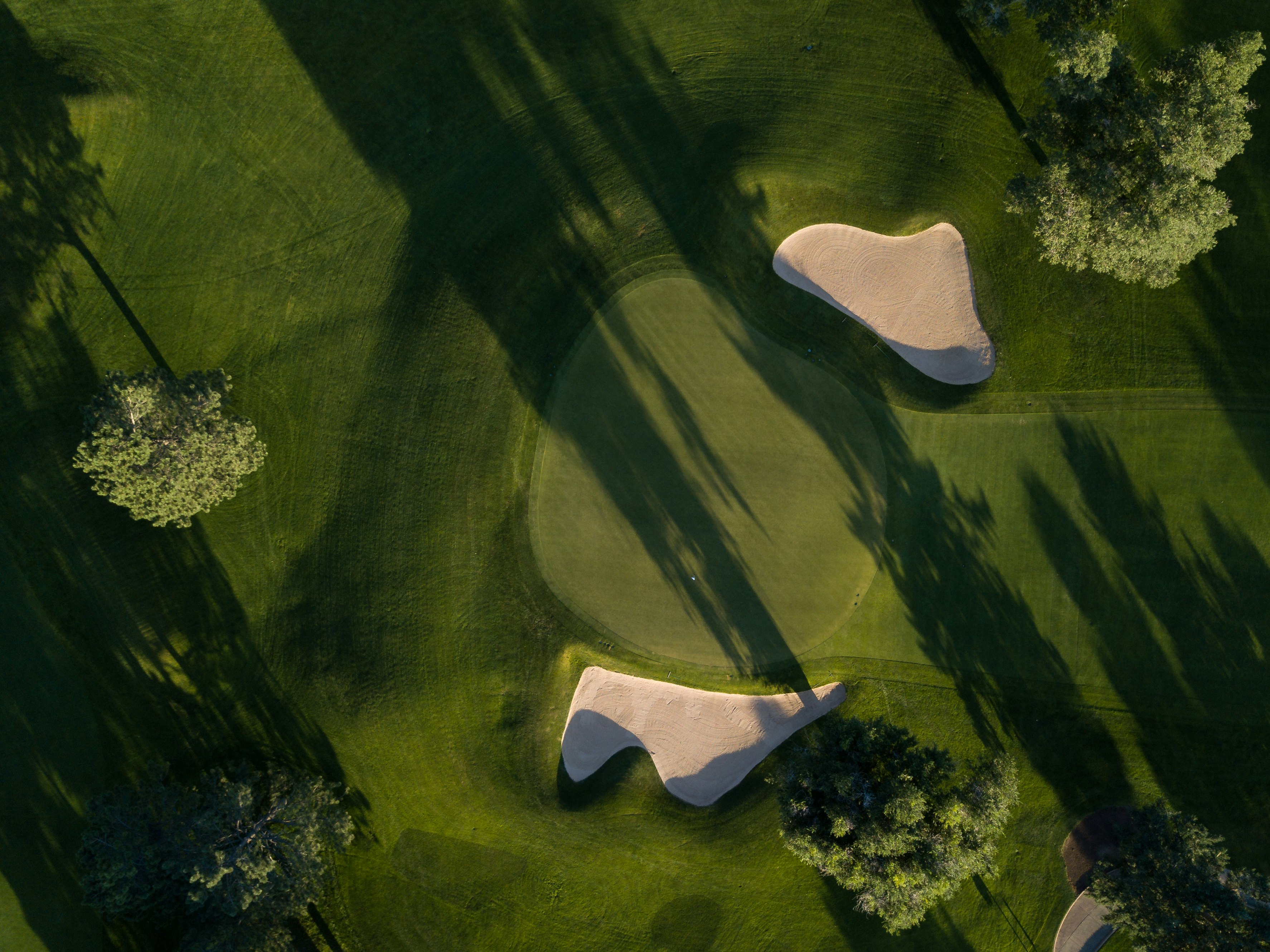 bird's eye photo of grass field