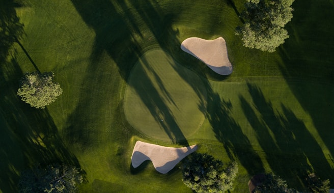 bird's eye photo of grass field