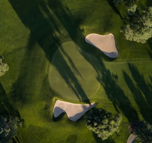 bird's eye photo of grass field