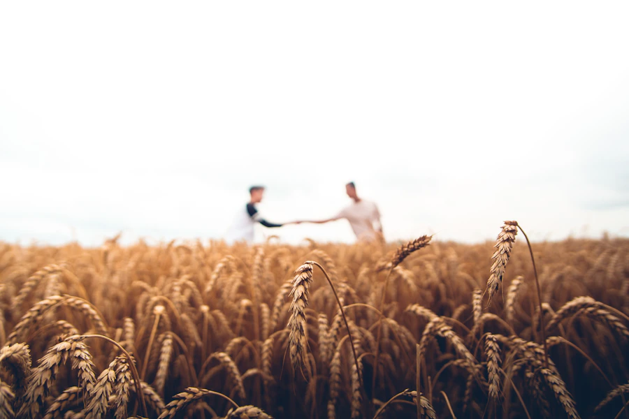 Agriculture and agro-processing