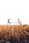 two persons standing on wheat field