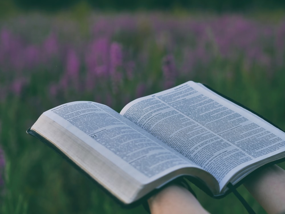 person holding open book near pink flower field selective focus photography