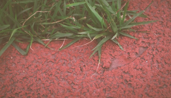 Green grass sprouting through a red textured surface, resembling a running track or playground surface.