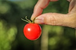 A close-up of a hand tossing a ripe tomato against a bright blue sky.