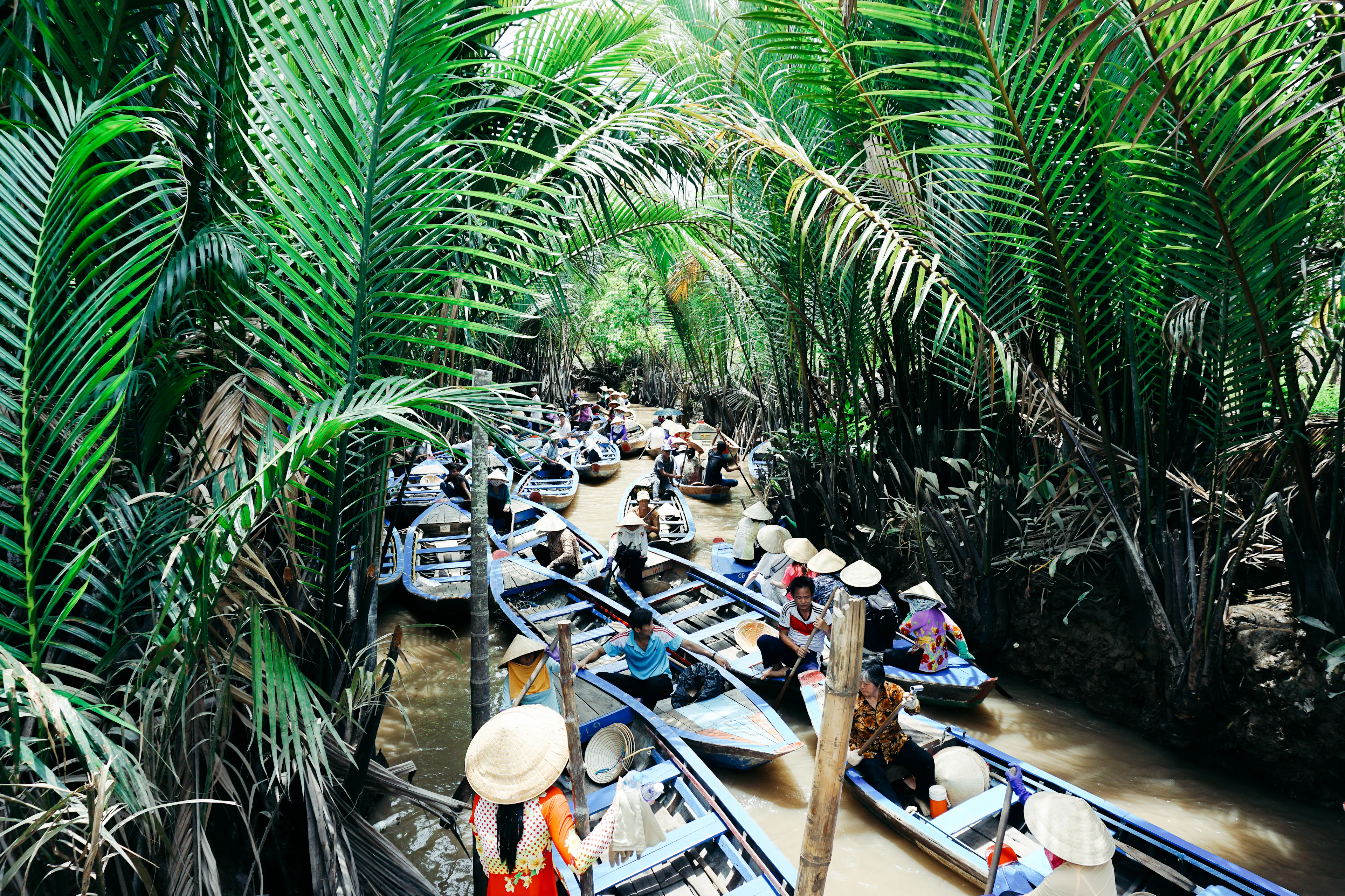 Rowing boats in a narrow canal lined with nipa palms, Mekong Delta