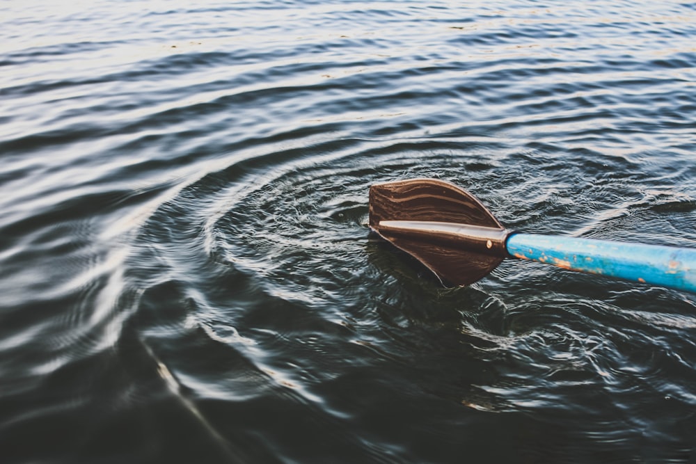 focus photography of blue and brown boat paddle surrounded by body of water