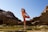 A person is practicing yoga on a rocky landscape with clear blue skies. They are dressed in colorful athletic wear and are balancing on one foot with the other leg extended backward, holding their foot with one hand. The surroundings feature large rock formations and shallow greenish water pooling around the rocks.