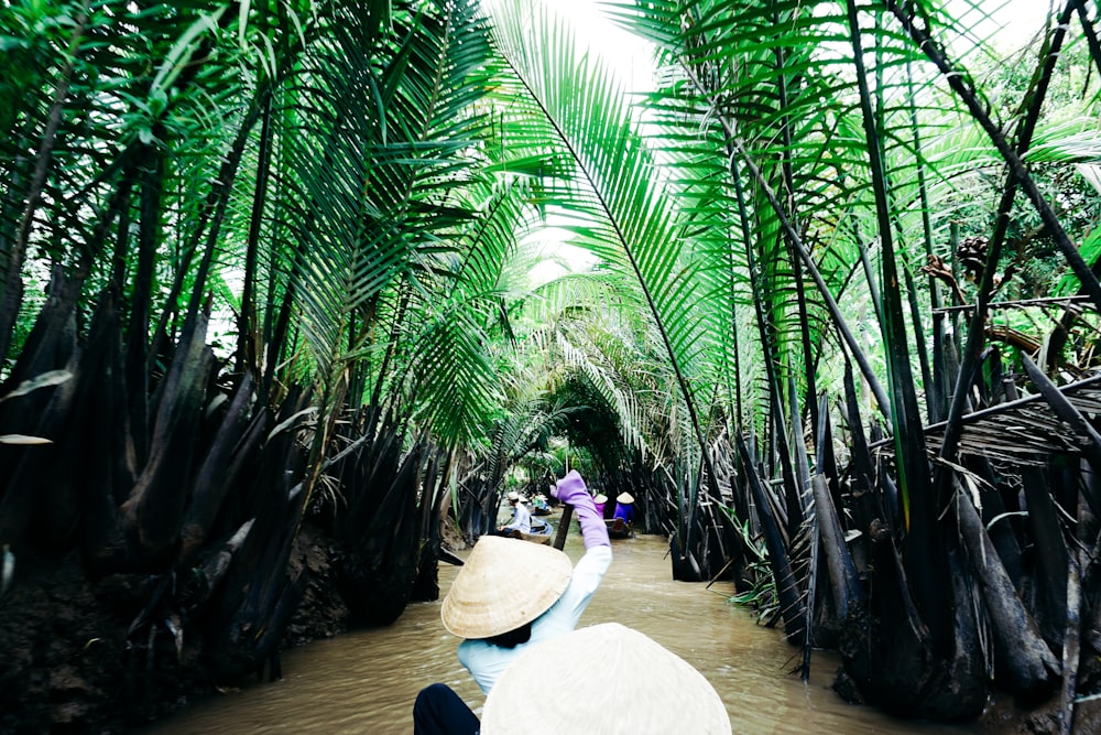 person sitting on brown wooden floor near green palm tree during daytime