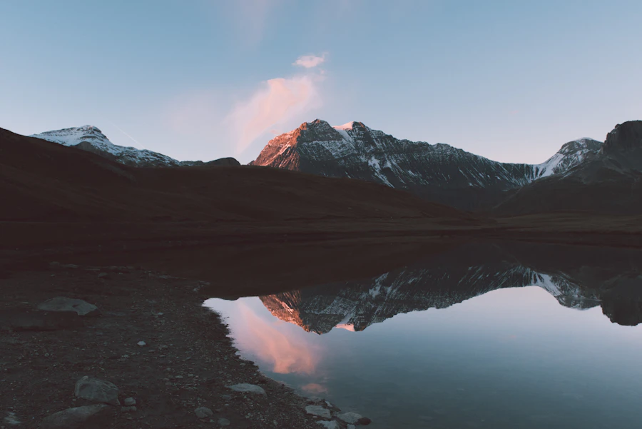 Reflections at dawn