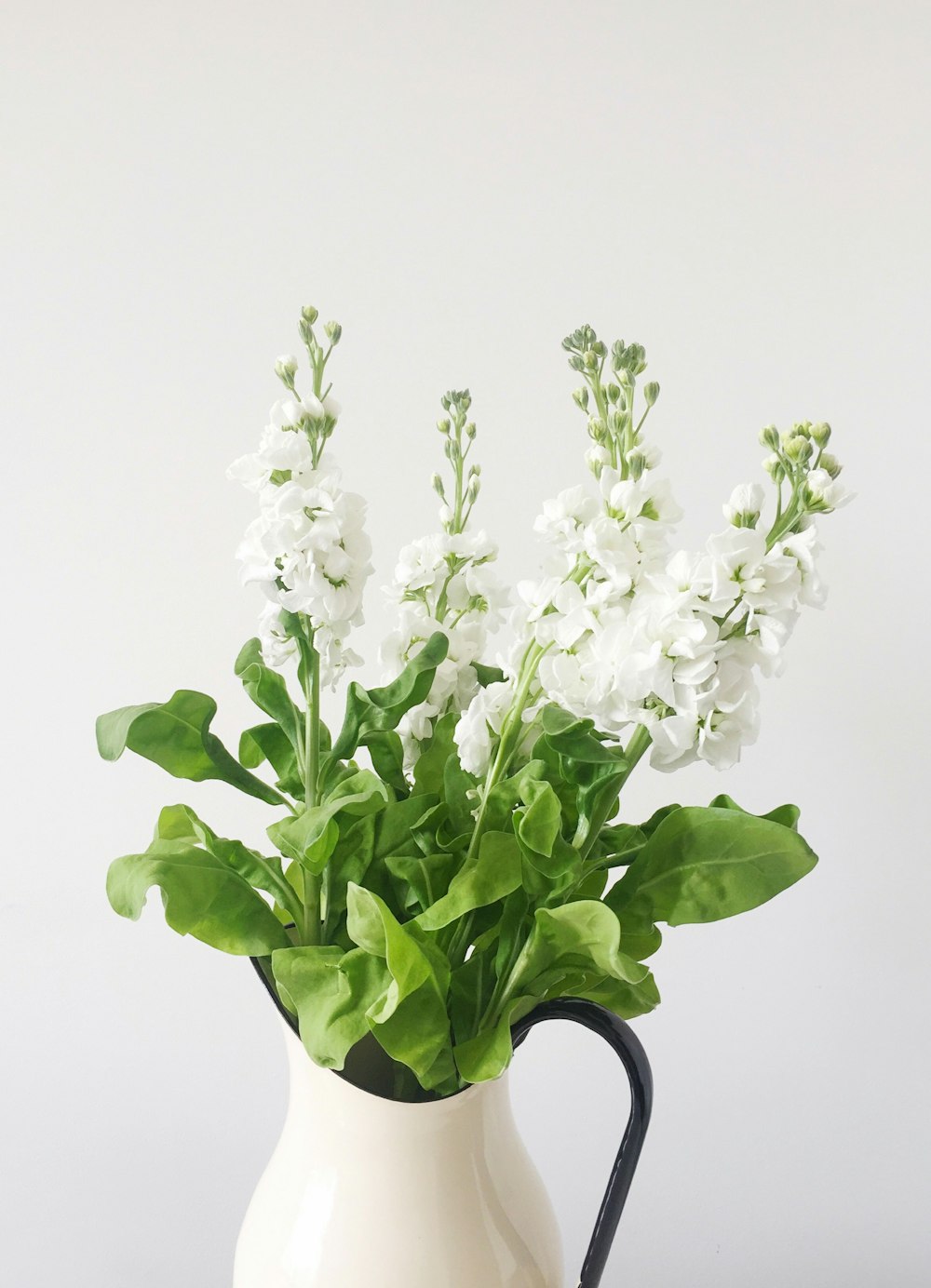 flor de pétalos blancos en jarrón blanco
