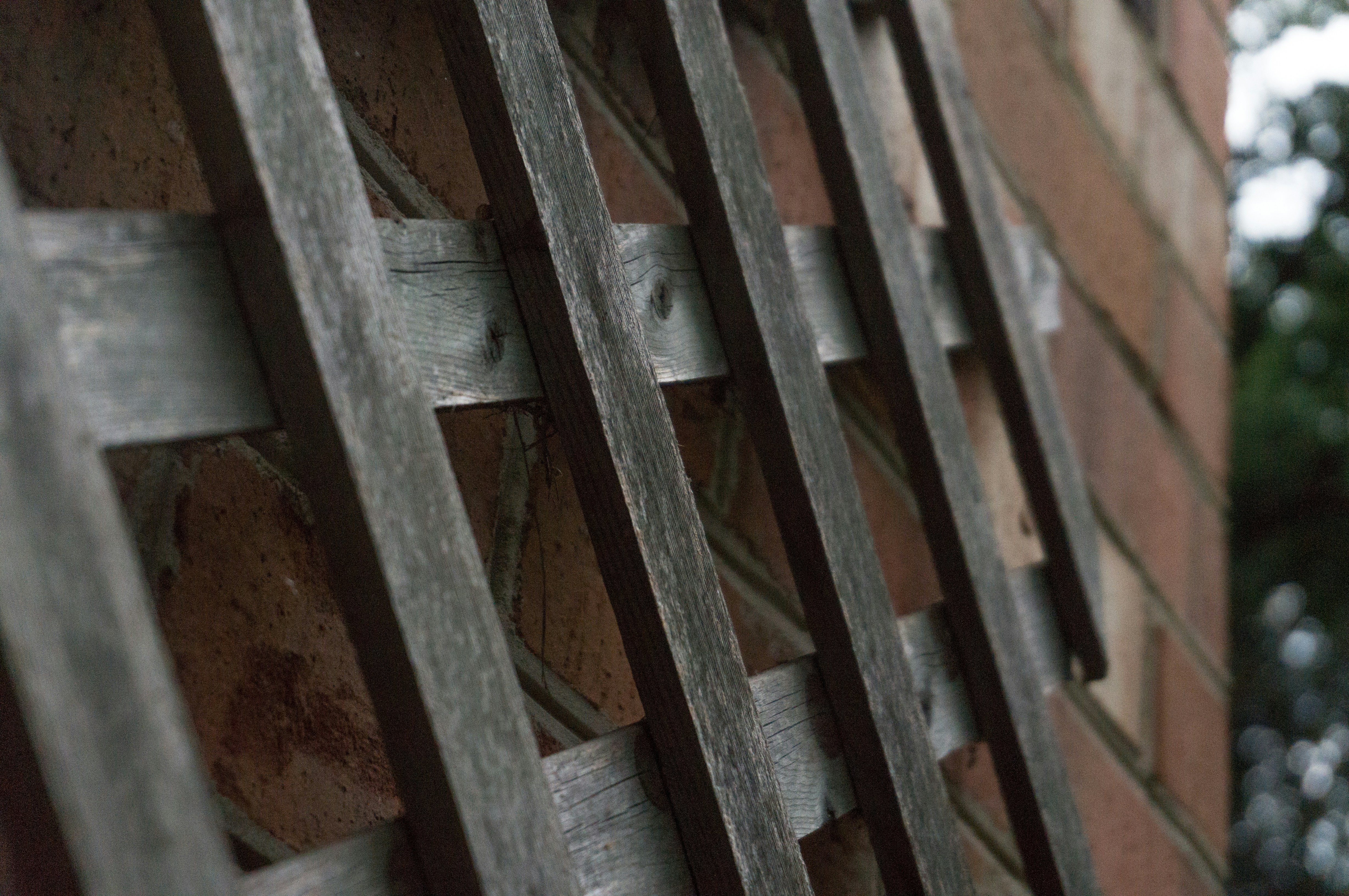 Decorative wooden privacy wall with lattice panels surrounding a backyard patio