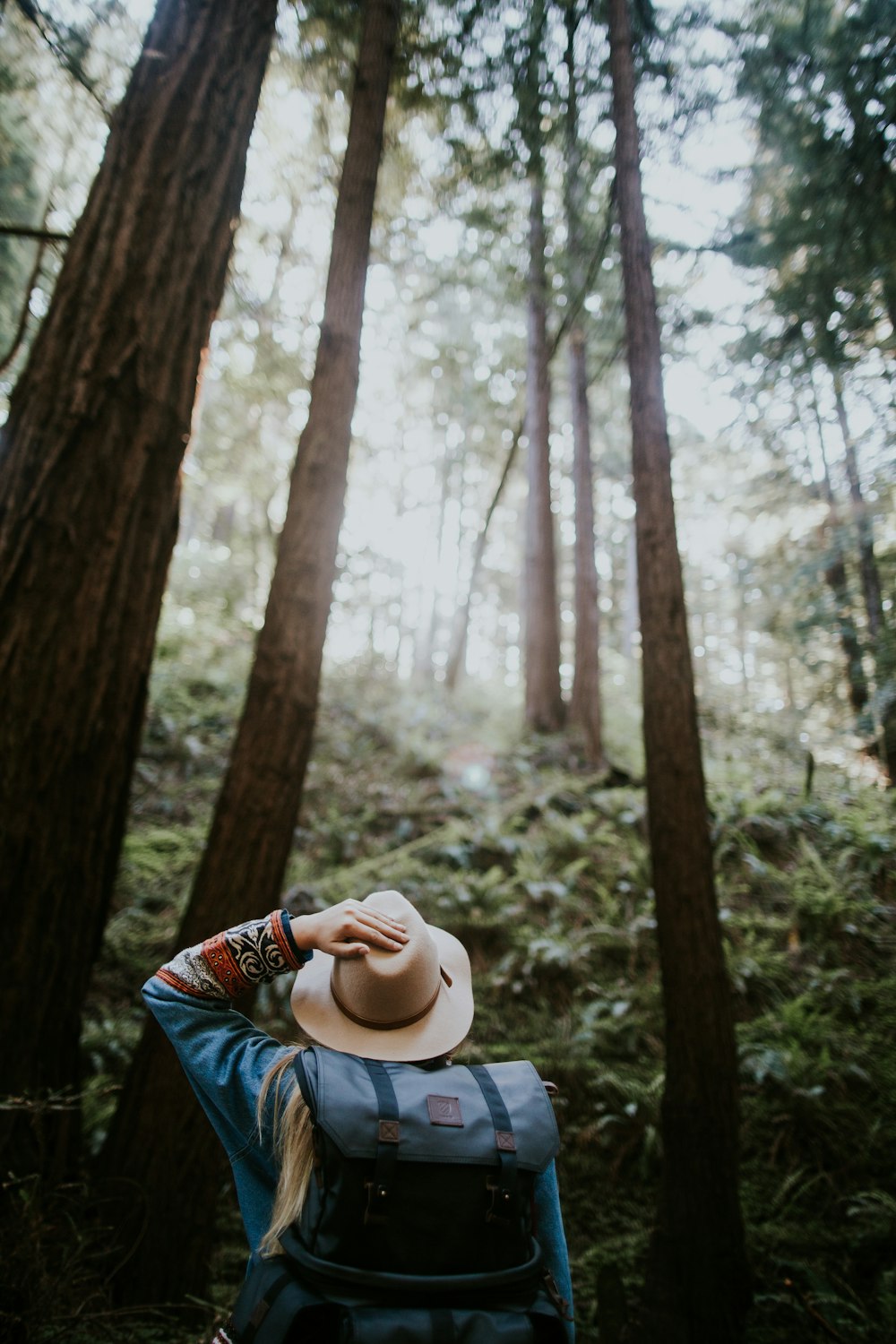 personne portant un chapeau brun dans la forêt