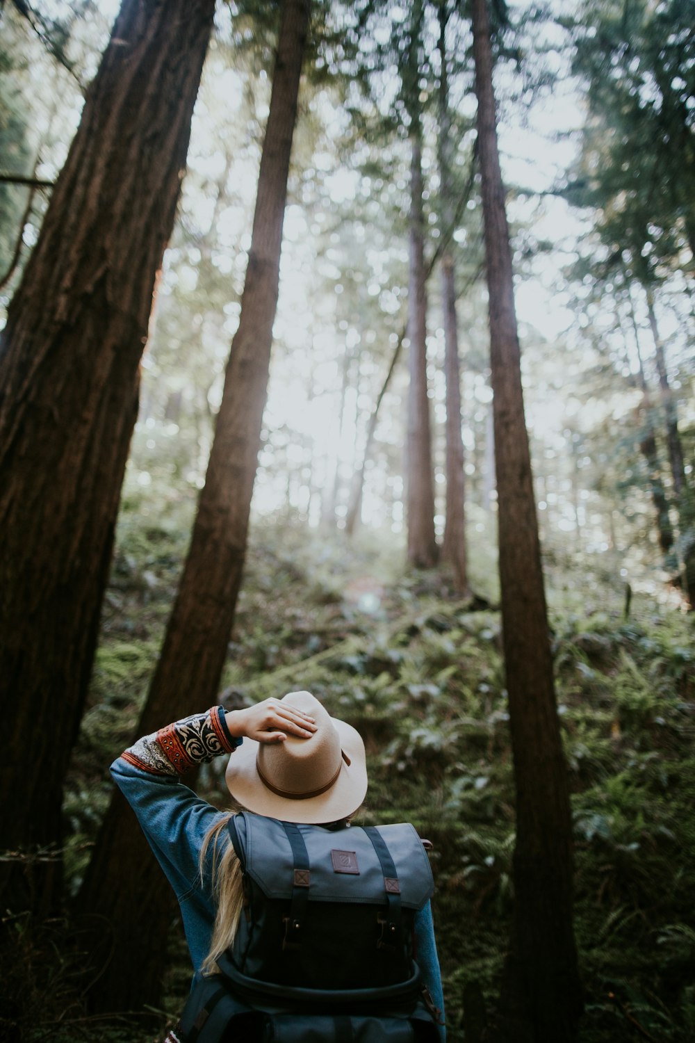 persona con sombrero marrón en el bosque