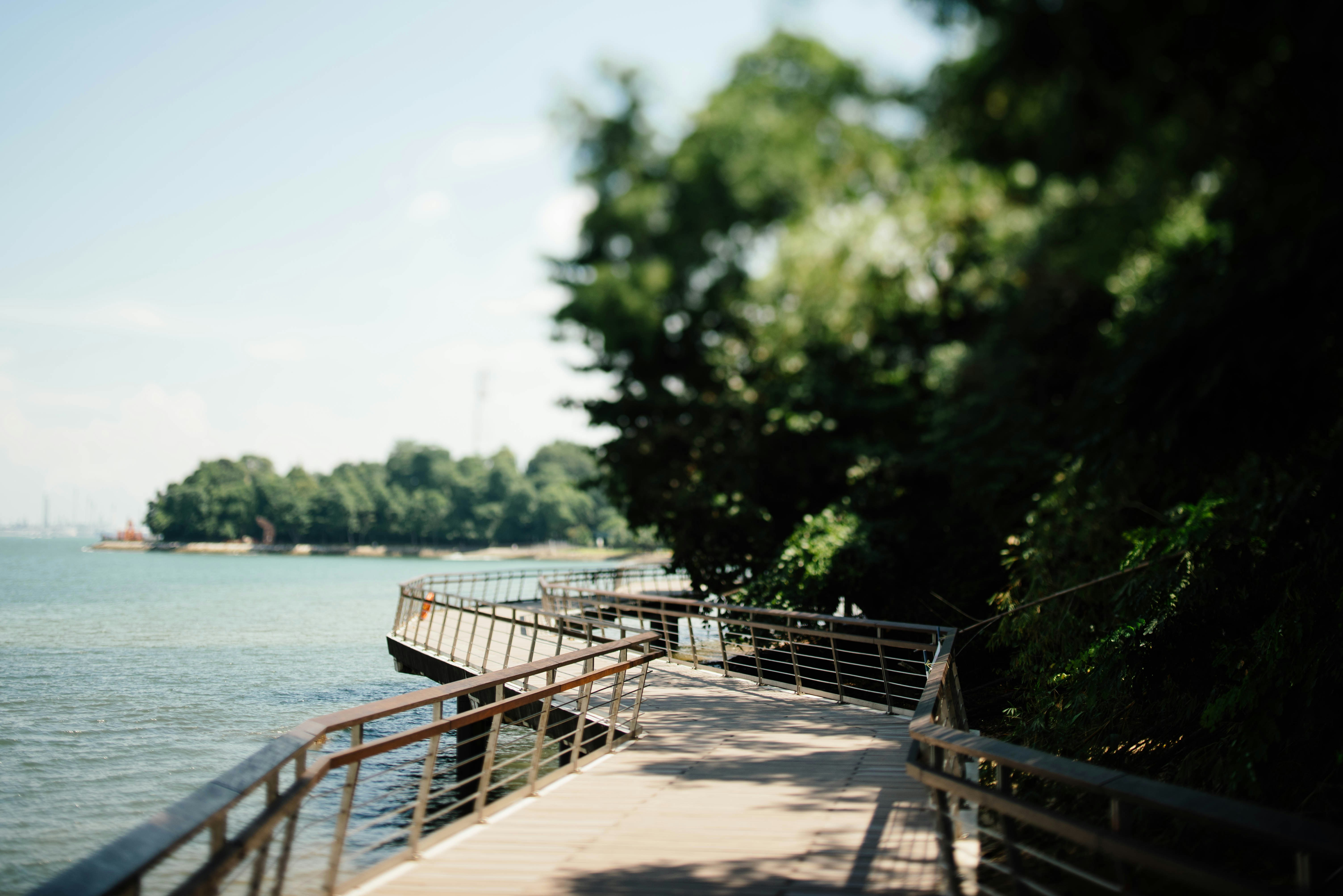 Photo by chuttersnap