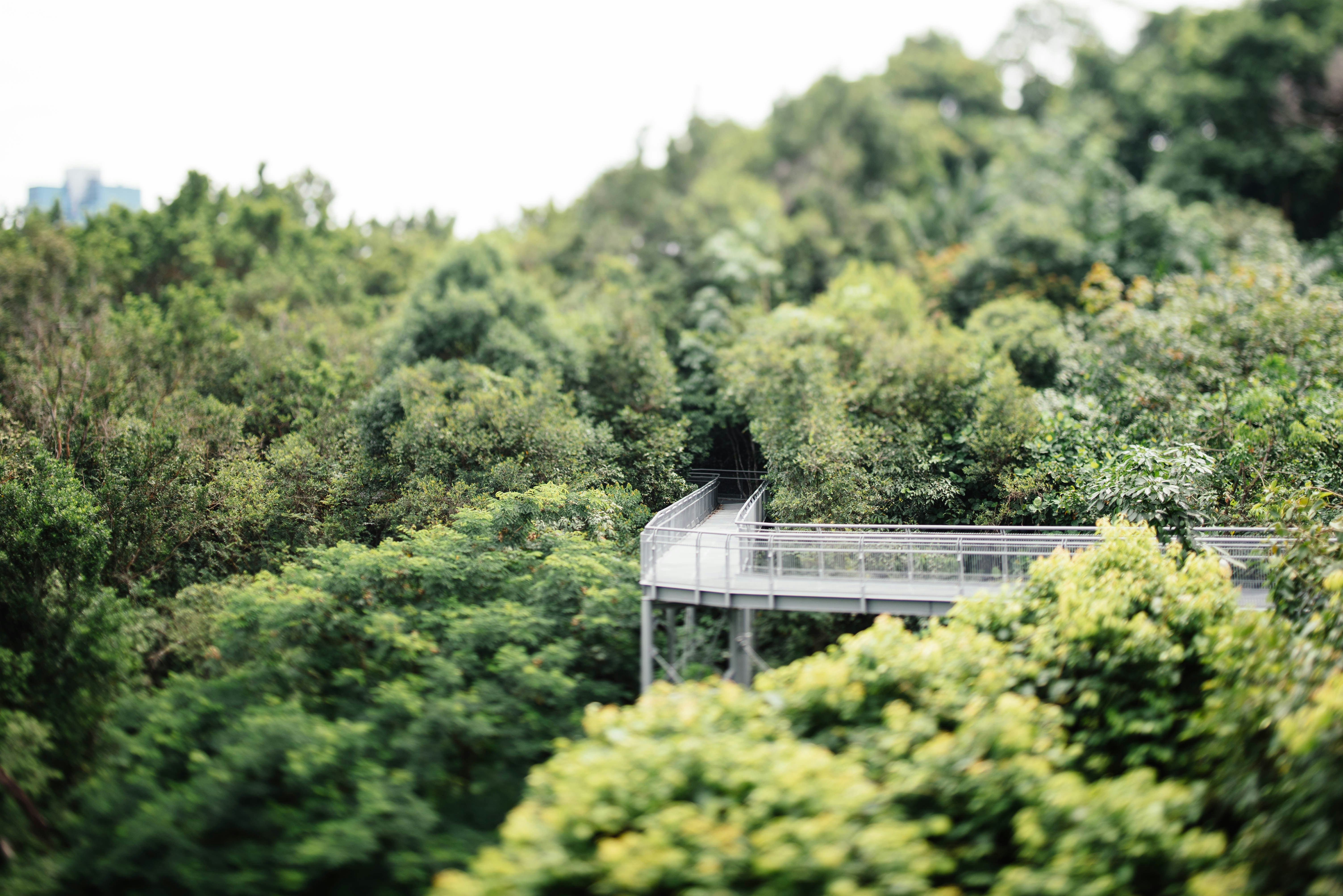 Photo by chuttersnap