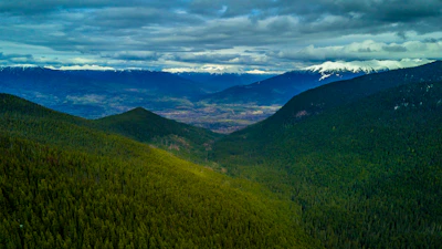A panoramic view of Magellanic forests under a cloudy sky, capturing the essence of the cold austral breeze.