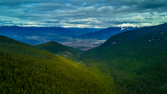 A panoramic view of Magellanic forests under a cloudy sky, capturing the essence of the cold austral breeze.