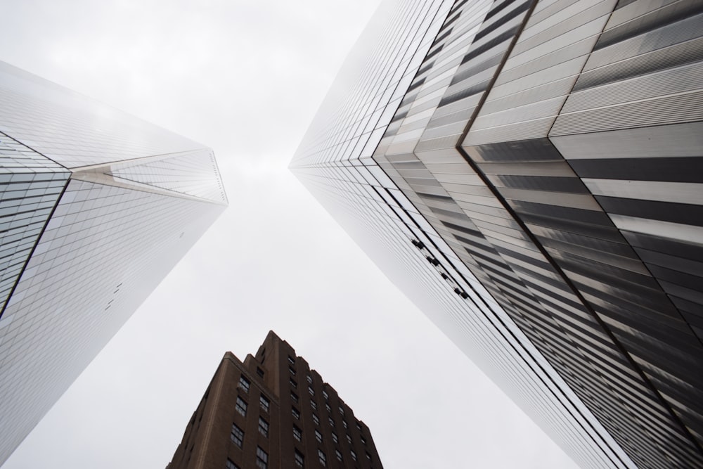 looking up at tall buildings in a city