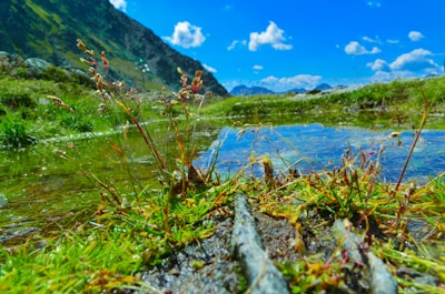 Lush rural land with green pastures and a small water stream running through.