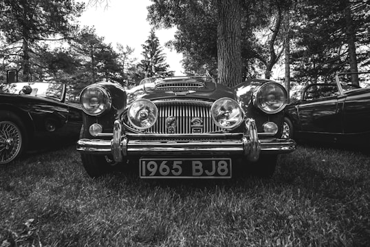 A classic car from 1965 is situated in an outdoor setting surrounded by trees. The front view showcases its distinctive headlights and grille, with the license plate reading '1965 BJ8'. The car is positioned on grass, and other classic cars can be seen partially in the background.