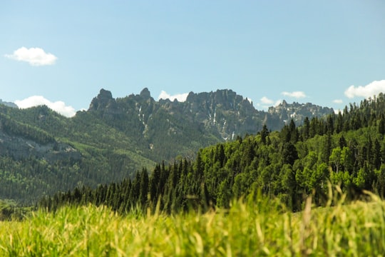 green trees and mountains during daytime in Silver Jack Reservoir United States