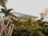A modern structure with a flat roof is partially obscured by lush green foliage, including palm trees and cacti. The architectural design features clean lines and a metallic finish, complemented by the natural surroundings.