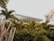 A modern structure with a flat roof is partially obscured by lush green foliage, including palm trees and cacti. The architectural design features clean lines and a metallic finish, complemented by the natural surroundings.