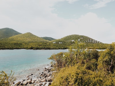 A scenic view of Puerto Rican coastal landscape with lush greenery and turquoise waters.
