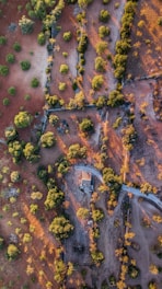 An aerial view of a rural landscape featuring a small building surrounded by patches of green trees and red-brown soil. The sunlight casts long shadows, highlighting the natural contours of the terrain. Dirt roads and paths weave through the scenery.