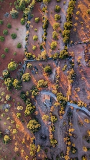 An aerial view of a rural landscape featuring a small building surrounded by patches of green trees and red-brown soil. The sunlight casts long shadows, highlighting the natural contours of the terrain. Dirt roads and paths weave through the scenery.