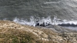 A dramatic drone shot of a coastline with crashing waves and rocky cliffs, highlighting texture and depth.