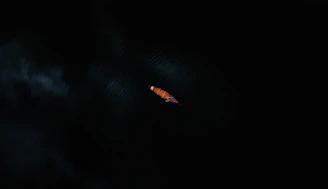 A single, small kayak is seen from above, cutting through dark waters. The kayak is orange, and the water around it is nearly black, creating a stark contrast. Minimal light reflects off the surface, emphasizing the solitude and tranquility of the scene.